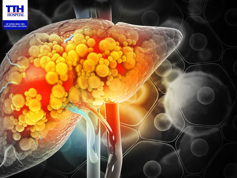 Đánh giá chức năng của các cơ quan quan trọng