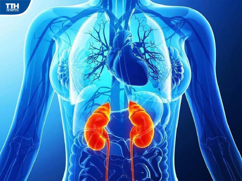 Cách điều trị bệnh thận mạn tính hiệu quả